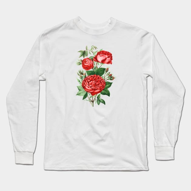 Red Rose Flower Bouquet Long Sleeve T-Shirt by Biophilia